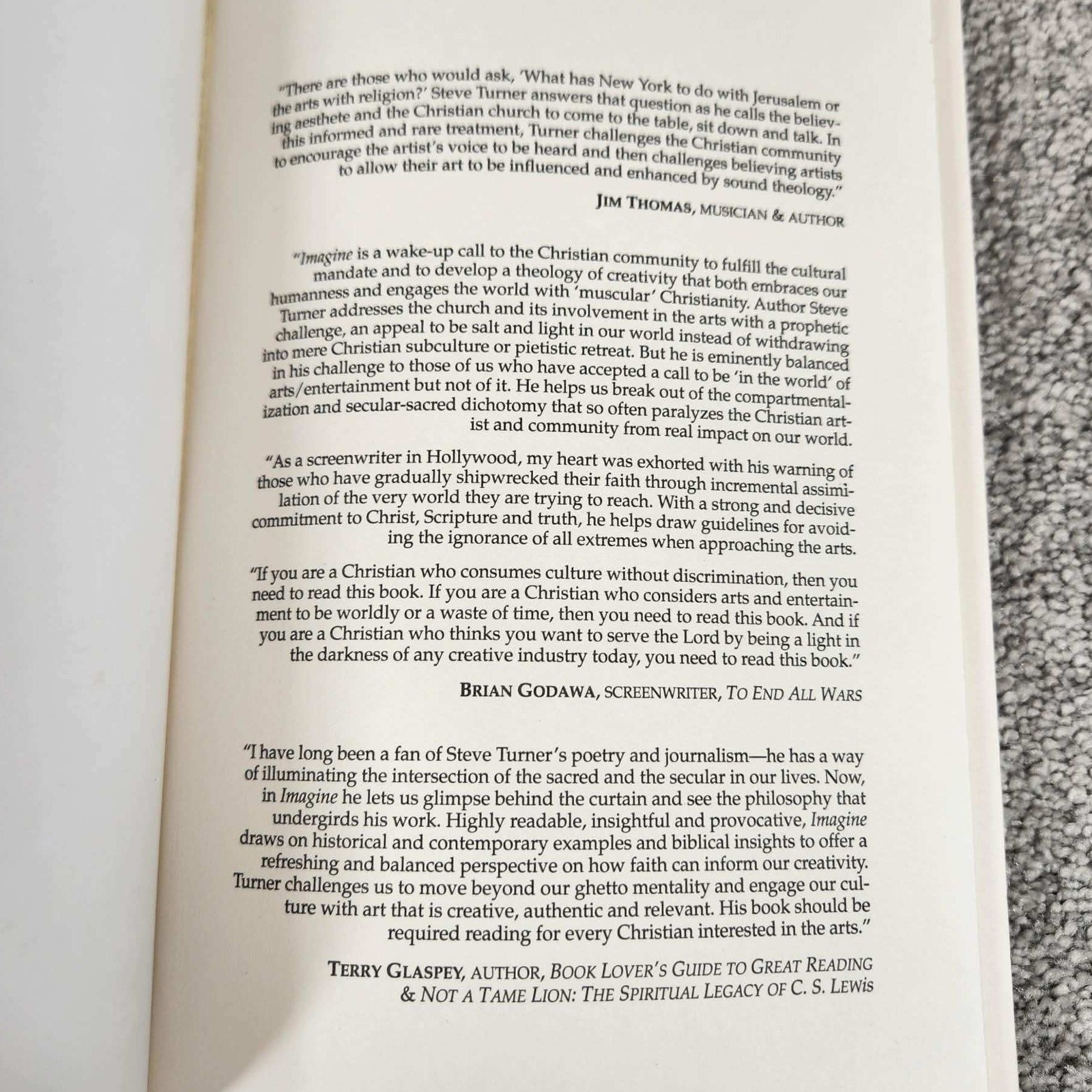 InterVarsity Press Imagine Steve Turner Christian Arts Paperback Religion 8.25″