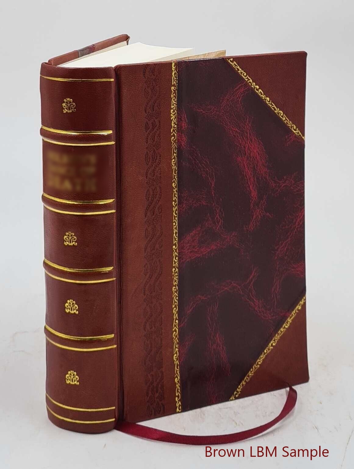 A Treatise On Federal Taxes 1919 By Henry Campbell Black [Leather Bound]