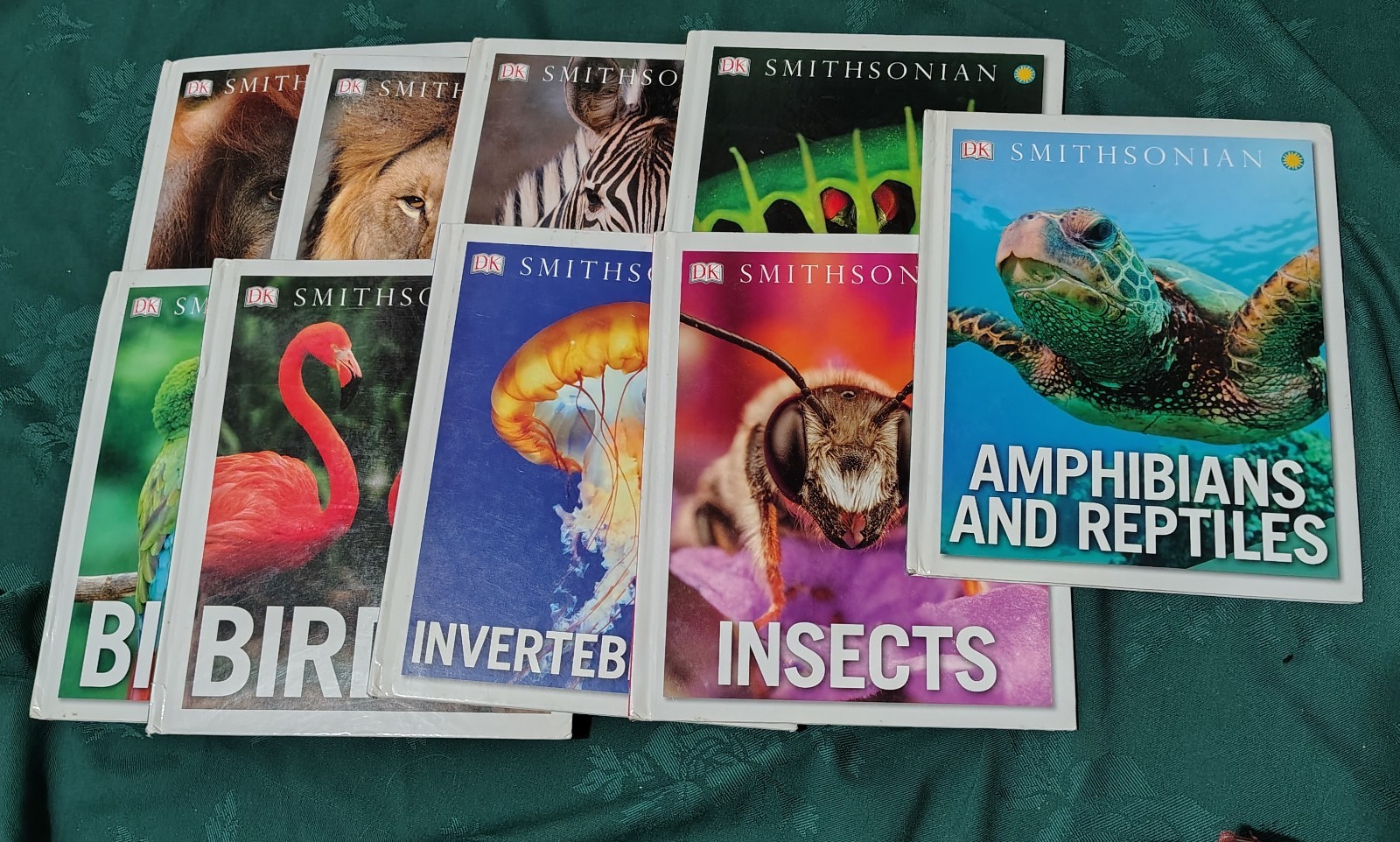 Lot of 9 DK Smithsonian HC Children’s Books