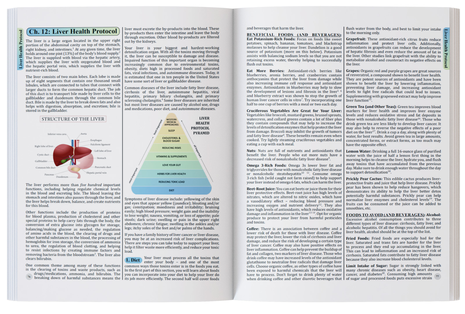 The Holistic Guide to Wellness (paperback with color pictures)