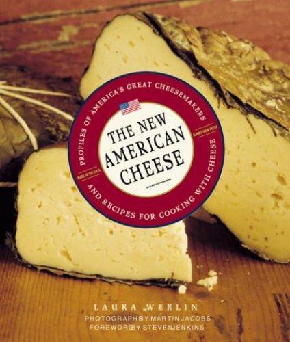 The New American Cheese, Werlin, Laura, Very Good Book