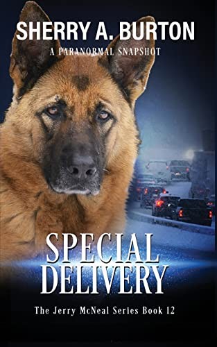 Special Delivery Book 12 in Th – Paperback – GOOD