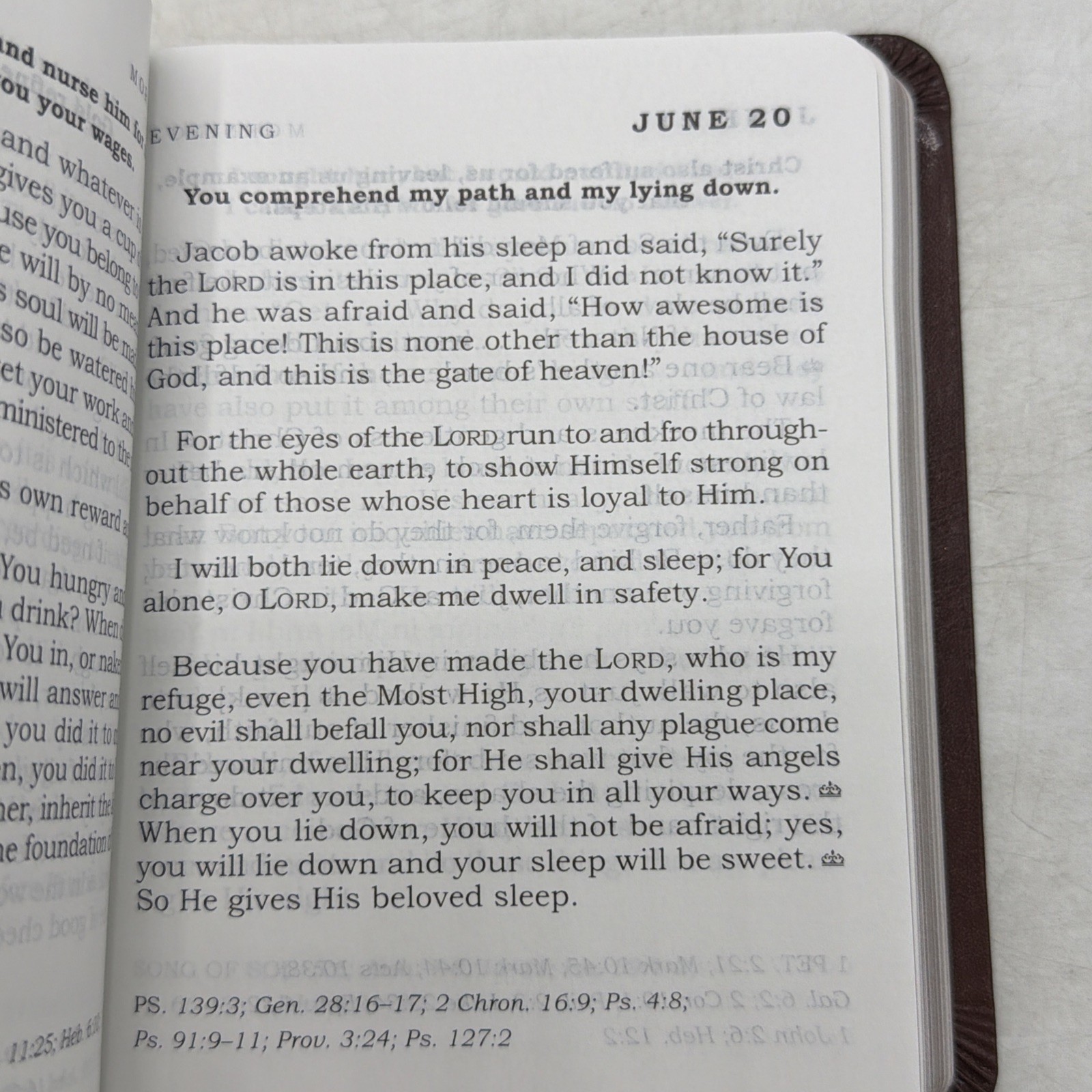 Daily Light – Tan (Leather / Fine Binding)