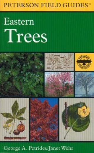 A Peterson Field Guide To Eastern Trees: Eastern United Stat…