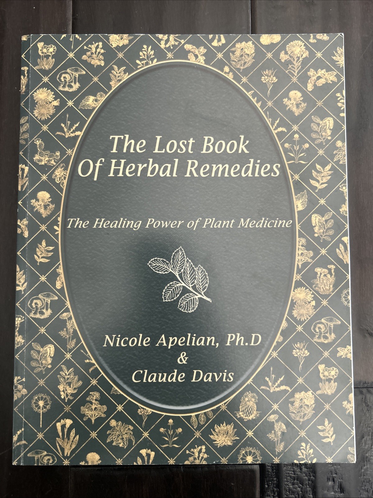 The Lost Book of Herbal Remedies by Davis & Apelian Paperback