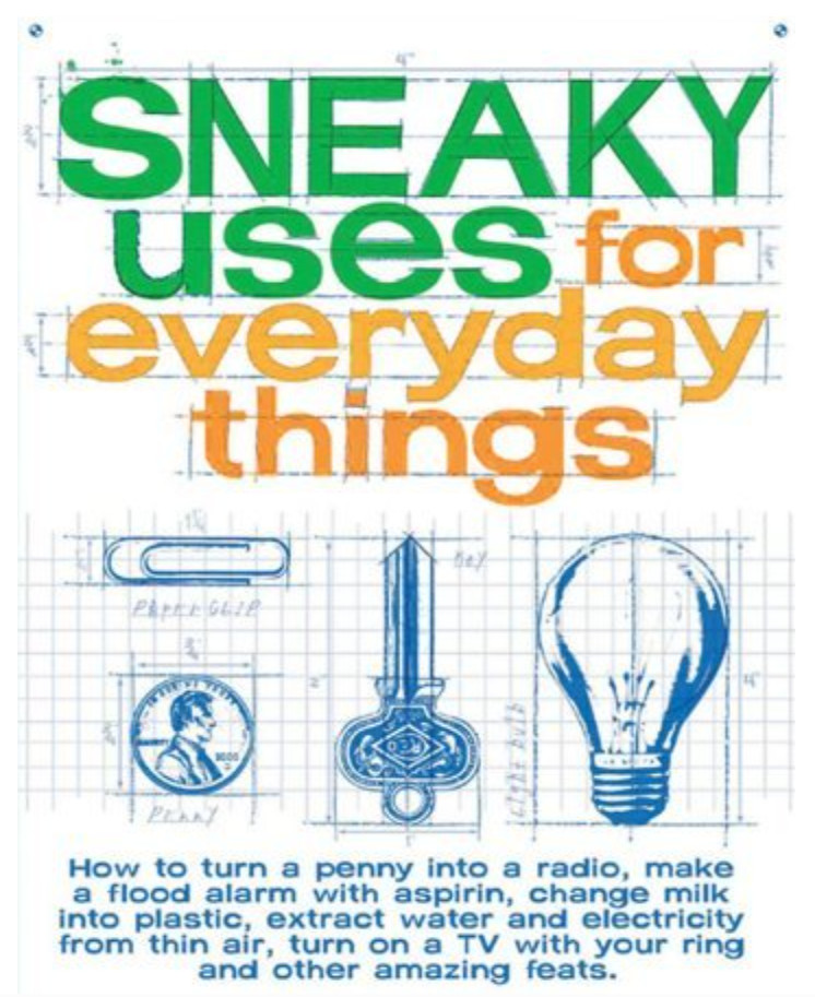 S n e a k i e r U s es fo r E v e r y d a y T h i n gs by T e r m o n y (2005)