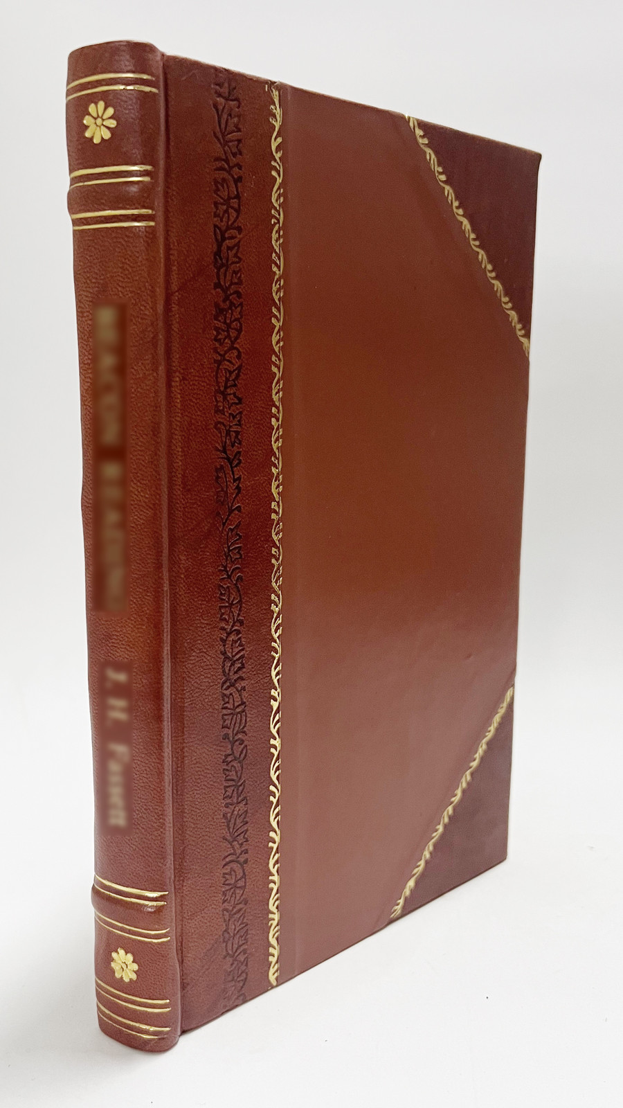 A Progressive Latin-English Vocabulary by Joseph Esmond Riddle [Leather Bound]