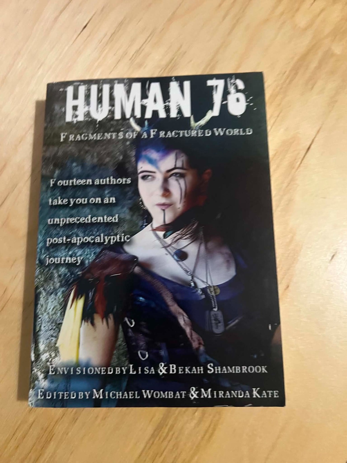 Human 76: Fragments of a Fractured World by Lisa Shambrook (Author), Michael Wom