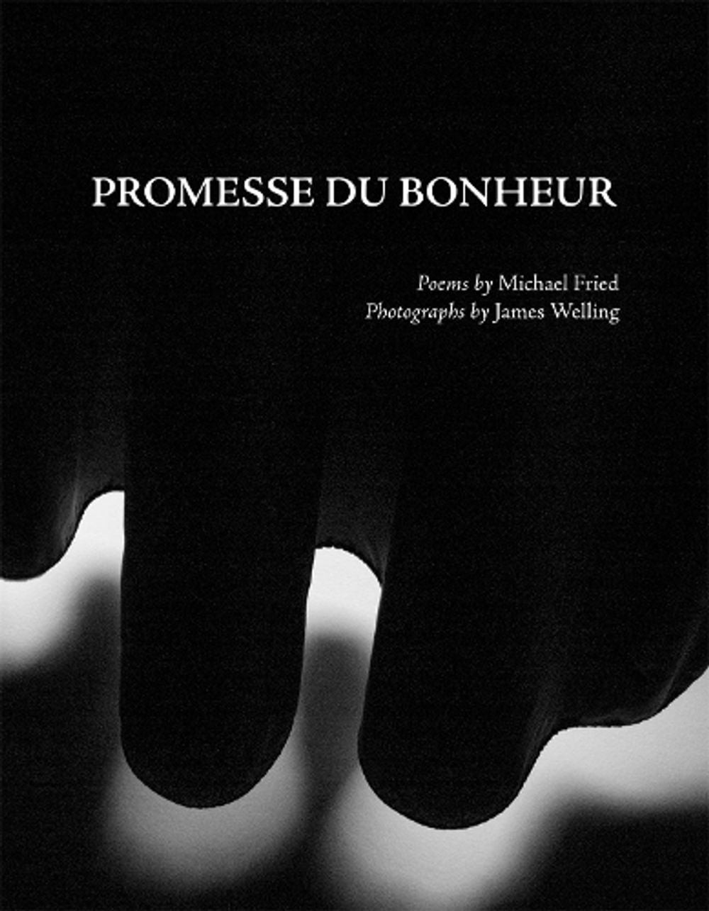 Promesse du Bonheur by Michael Fried (English) Paperback Book