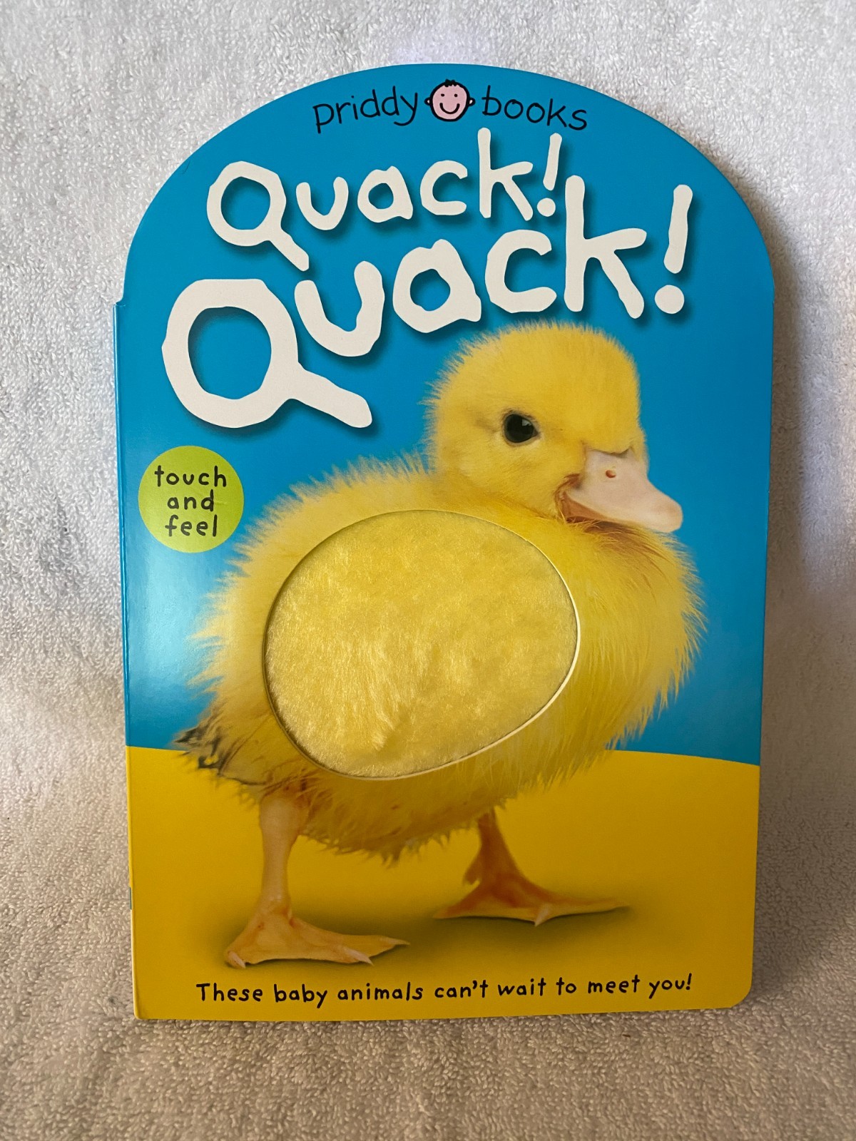 Priddy Books QUACK QUACK Touch and Feel Children’s book