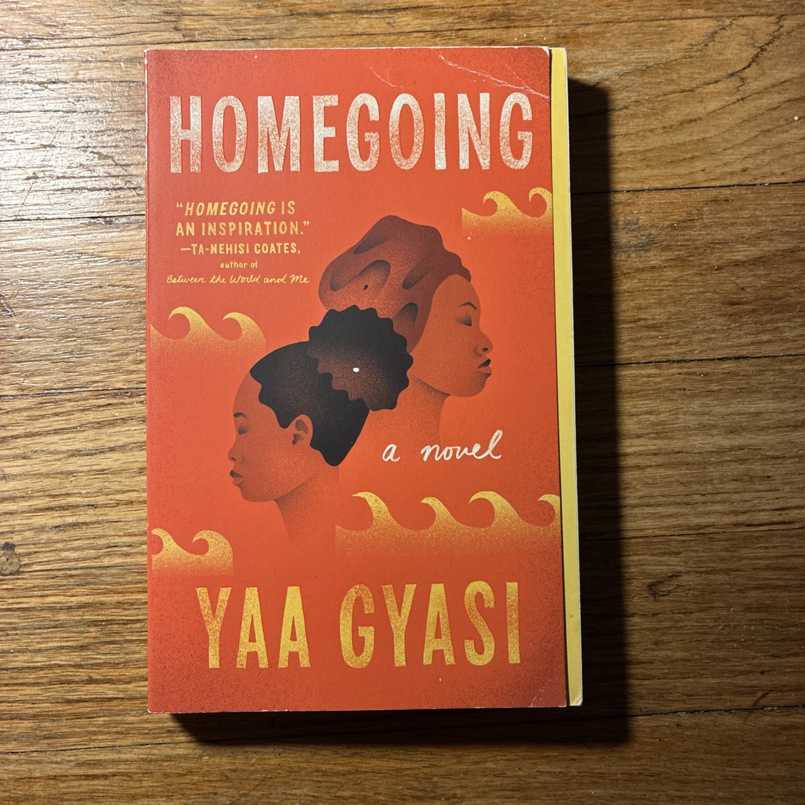 Homegoing by Yaa Gyasi (2017, Trade Paperback)
