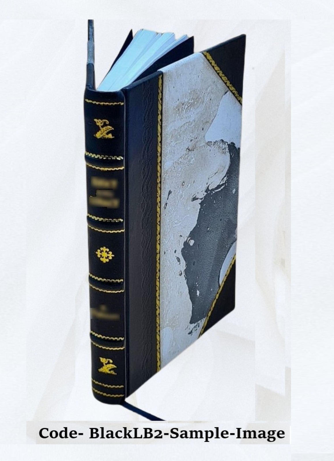 Modern Painting, Its Tendency And Meaning 1922 [Leather Bound]