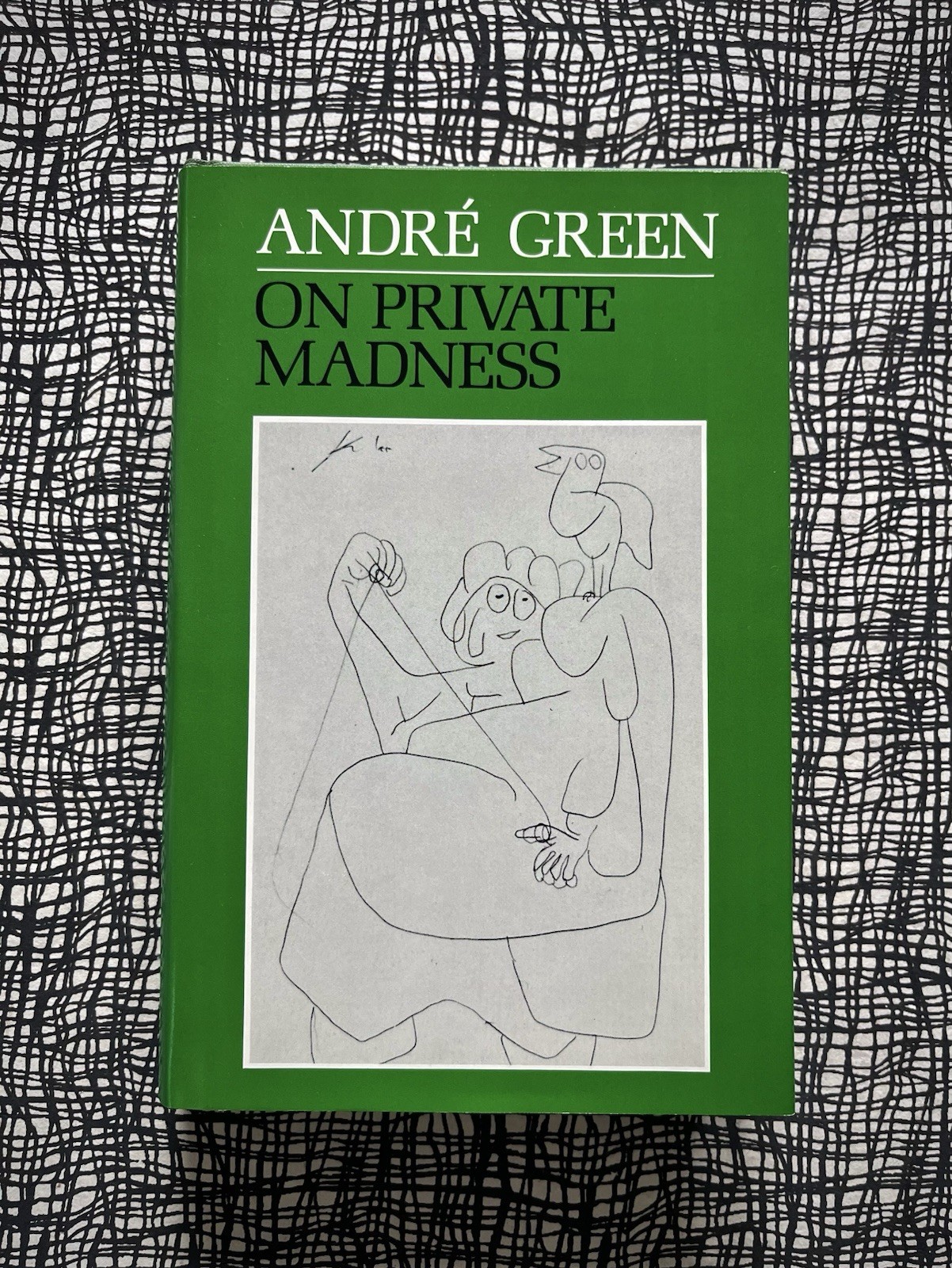 ON PRIVATE MADNESS ~ ANDRÉ GREEN 1986 HC/DJ As New/VG+ Psychoanalysis Psychology