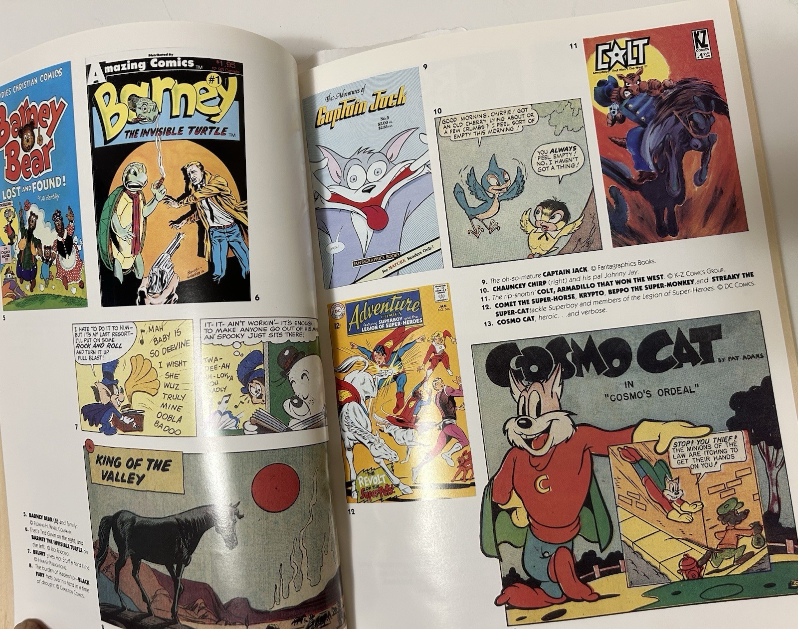 THE ILLUSTRATED ENCYCLOPEDIA OF CARTOON ANIMALS 1991, 388 pages