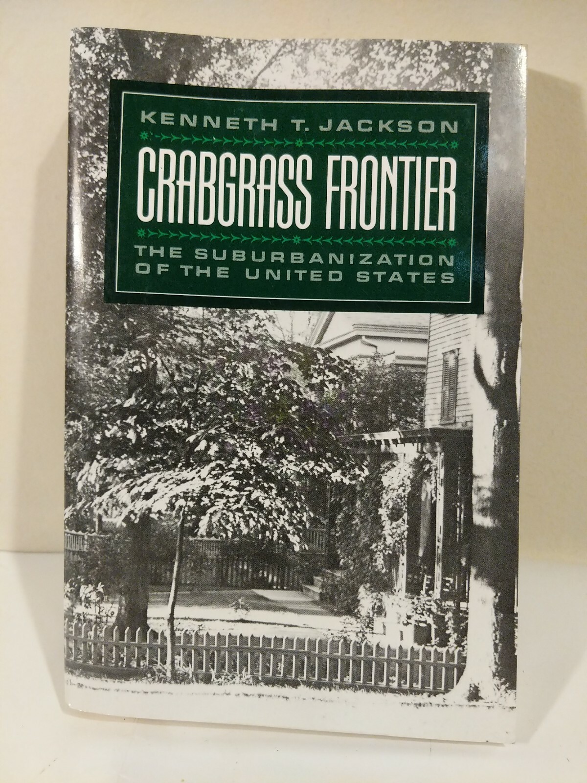 Crabgrass Frontier : The Suburbanization of the United States