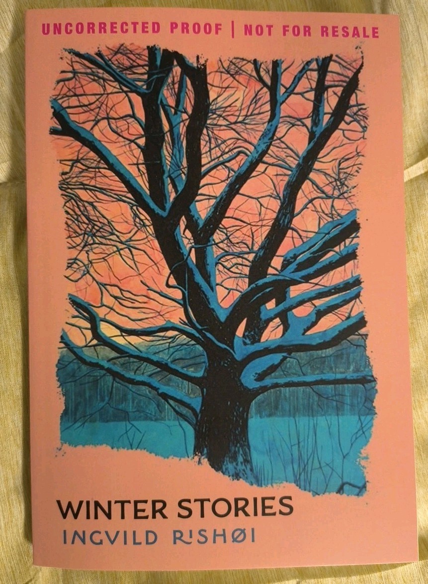 Winter Stories by Ingvild Rishoi NEW ARC Paperback Relationships Book Fiction
