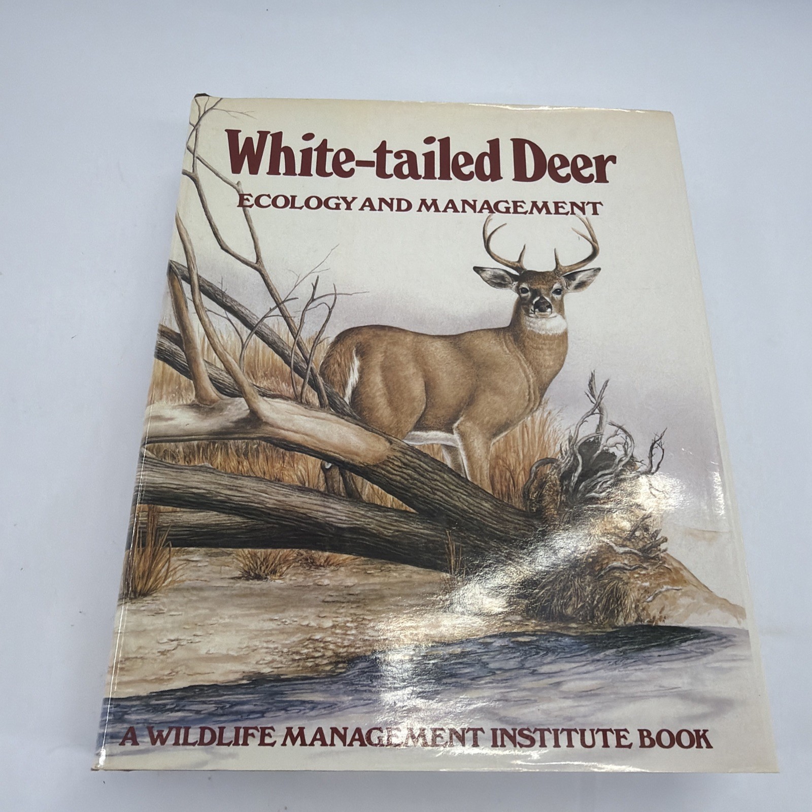 White tailed deer ecology and management Wildlife management Institute Book