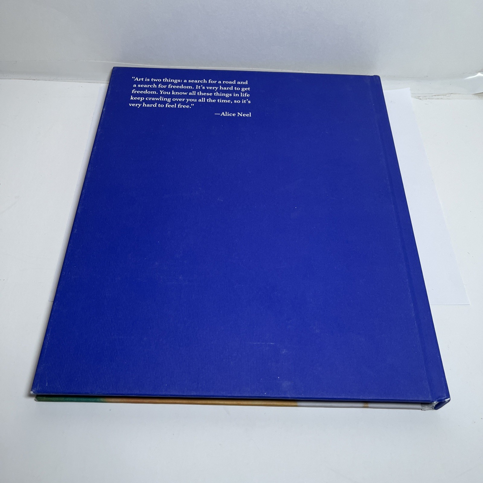 Alice Neel~Freedom~Helen Molesworth Art Book~Nude Portraits Modern Art~VERY GOOD