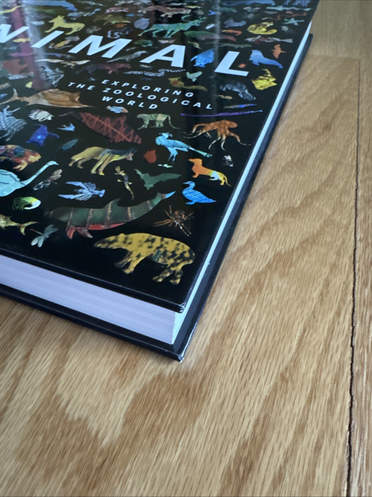 Animal : Exploring the Zoological World by Phaidon Editors (2018, Hardcover)