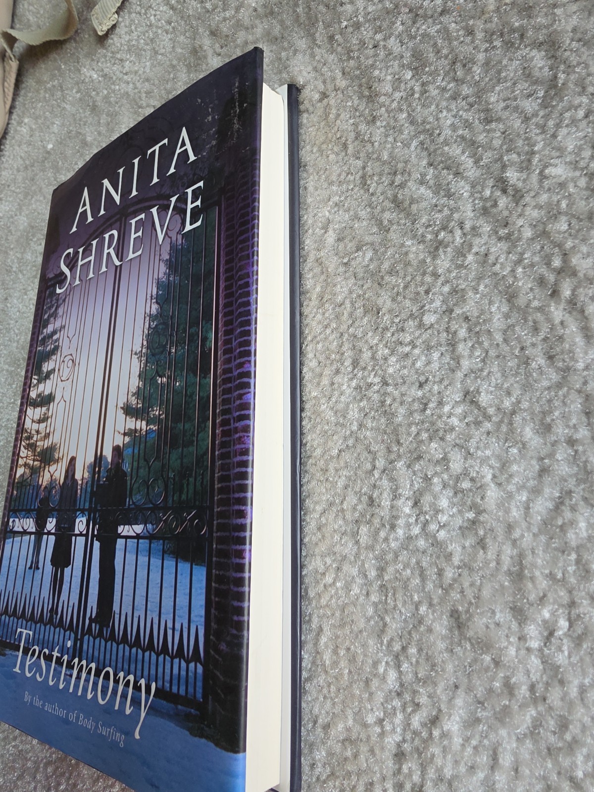 Testimony First Edition Anita Shreve