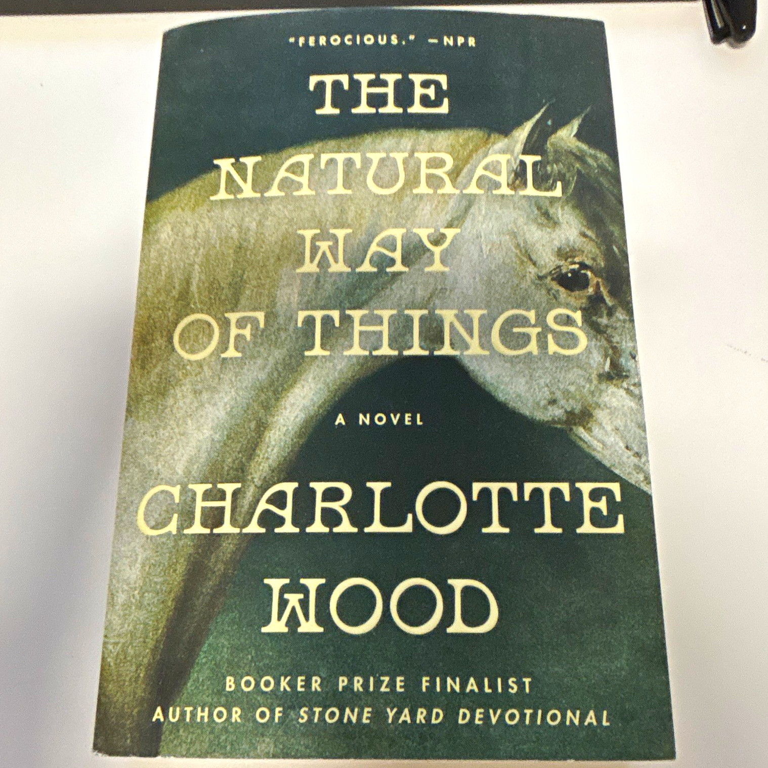 Charlotte Wood The Natural Way of Things, Paperback, Fiction, Feminism, YA