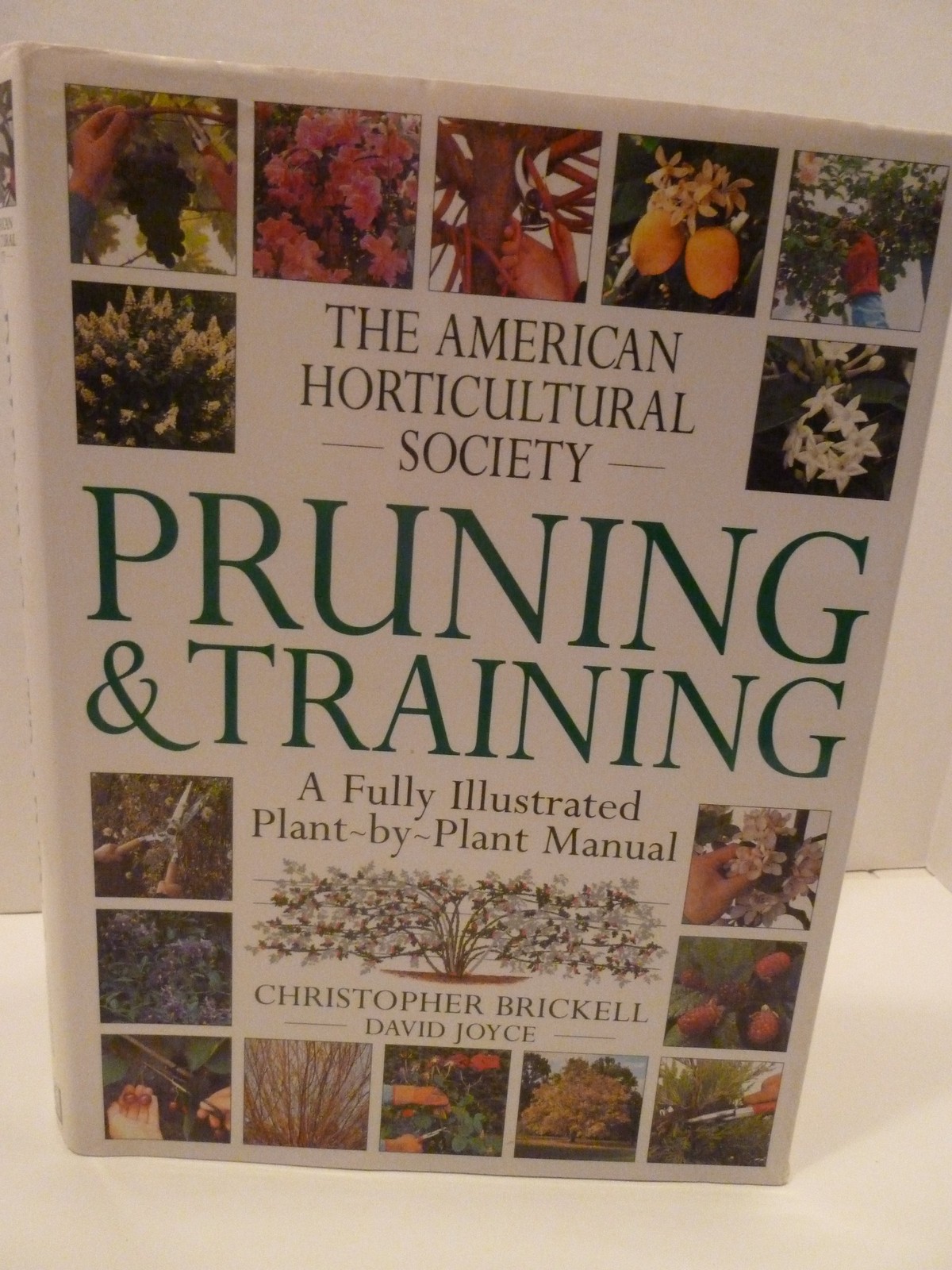American Horticultural Society Pruning & Training