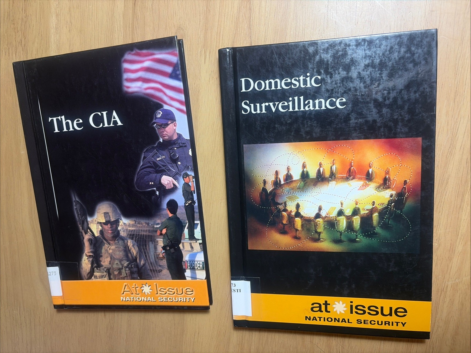 AT ISSUE CIA Domestic Surveillance Lot 2 HC National Security Privacy Debate HC