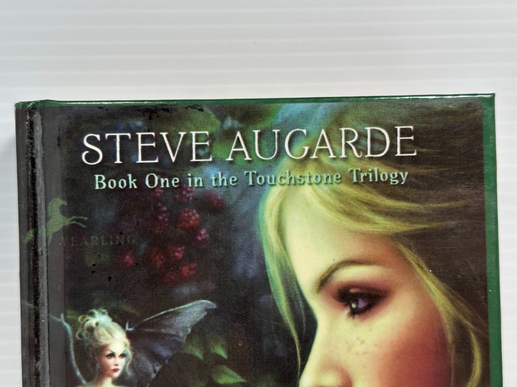 The Touchstone Trilogy set Books Ex-Lib Teacher Homeschool Reading HC Augarde