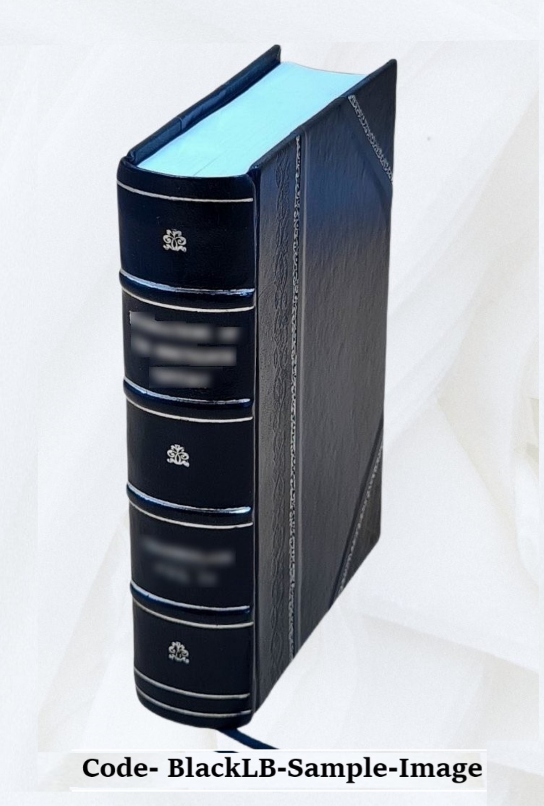 Modern Painting, Its Tendency And Meaning 1922 [Leather Bound]