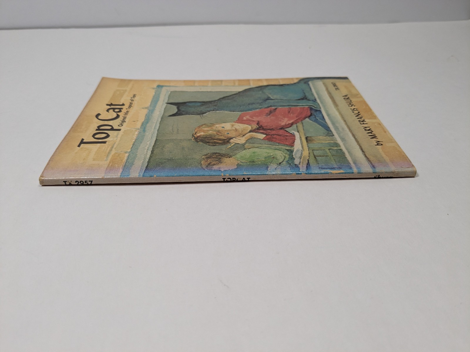 Top Cat by Mary Francis Shura Vintage Paperback Book Children’s Illustrated