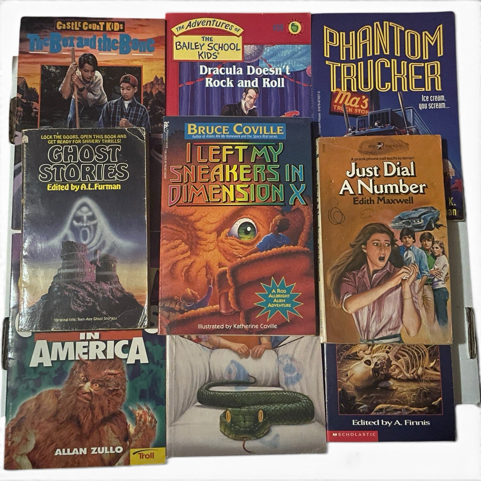 Vtg Spooky Kids Chapter Books Lot of 9 Ghost Stories Bruce Coville Scholastic