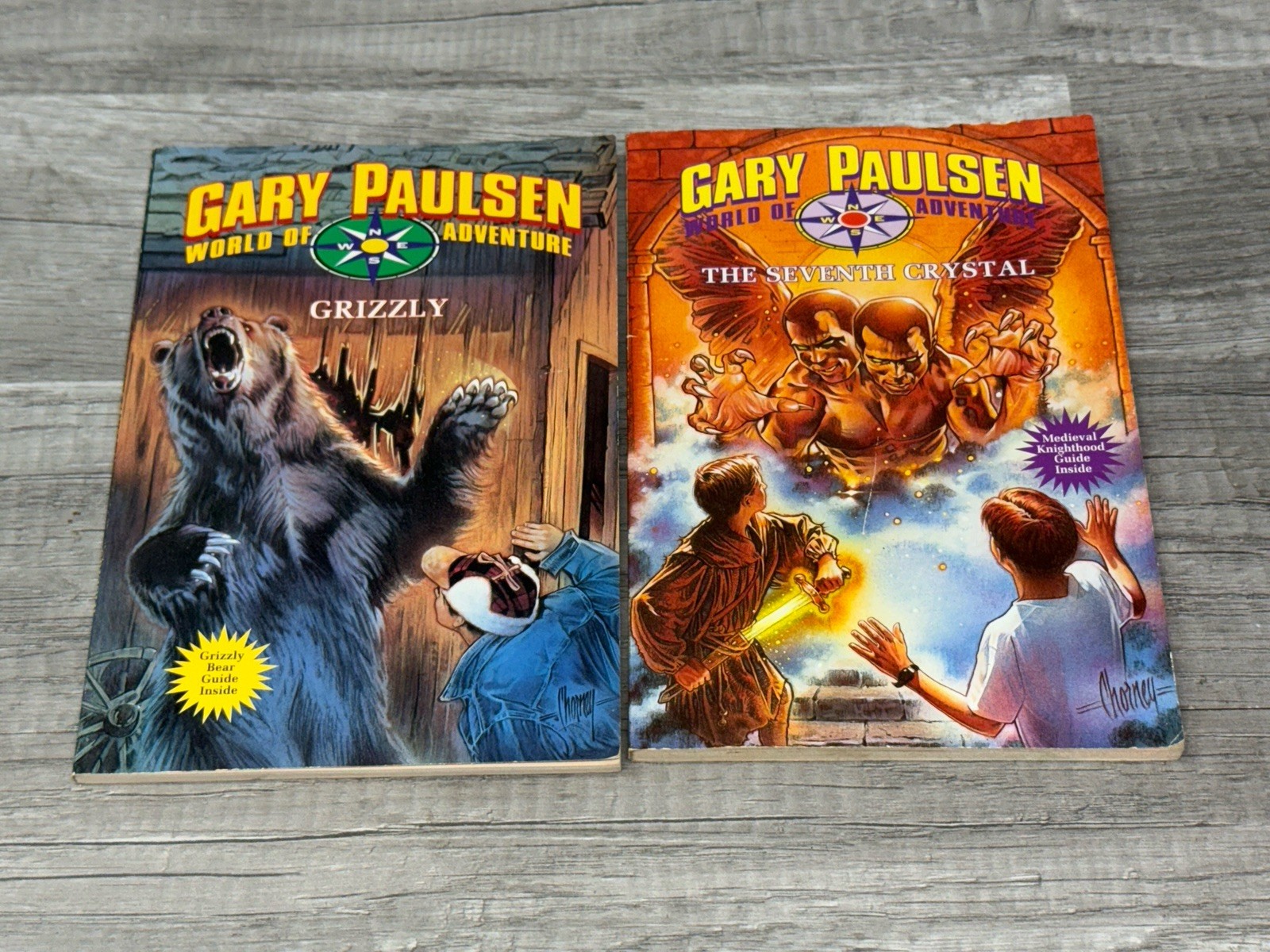 GRIZZLY & The Seventh Crystal (Gary Paulsen World of Adventure) by Gary Paulsen