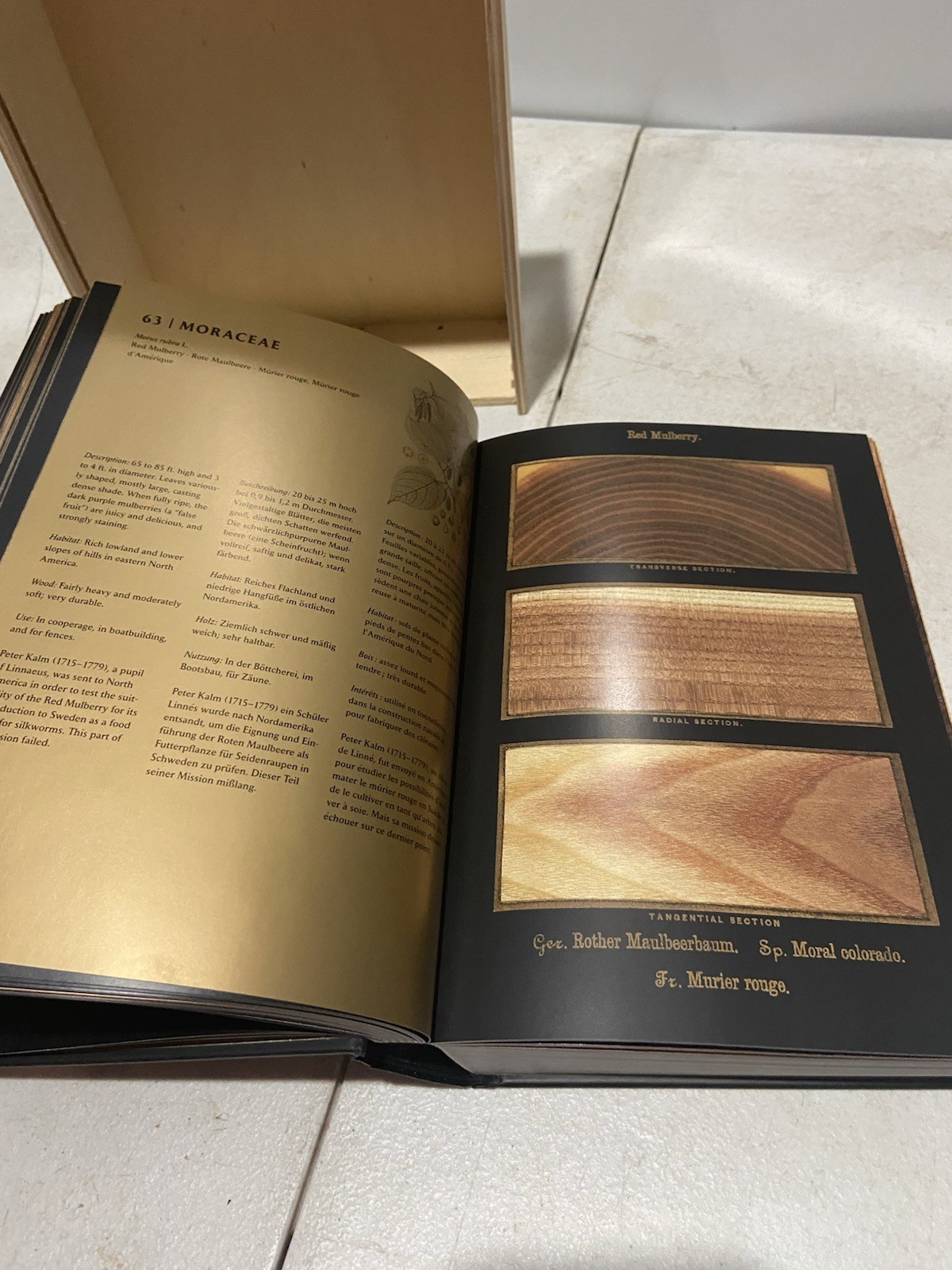 The Wood Book Taschen Wooden Slipcase Reprint Romeyn Beck Hough Art Botany