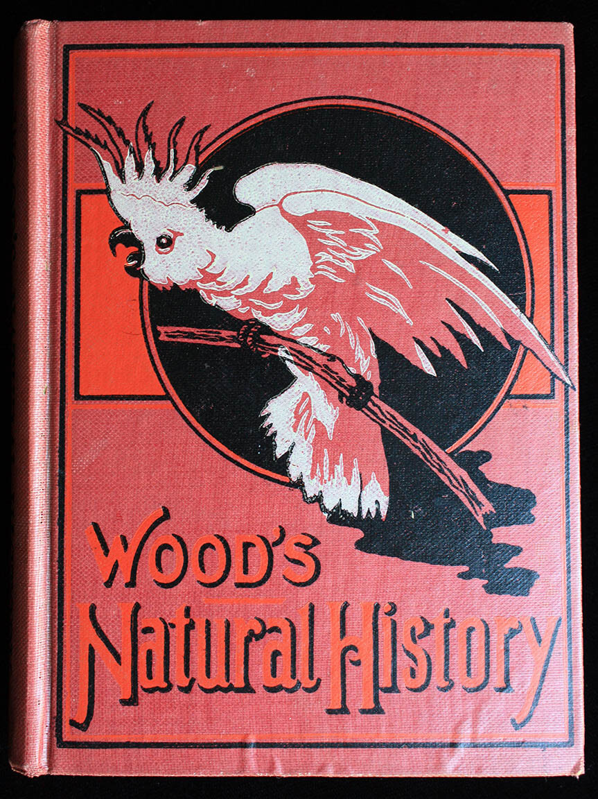 Wood’s Illustrated Natural History – Young Reader’s Edition – VG