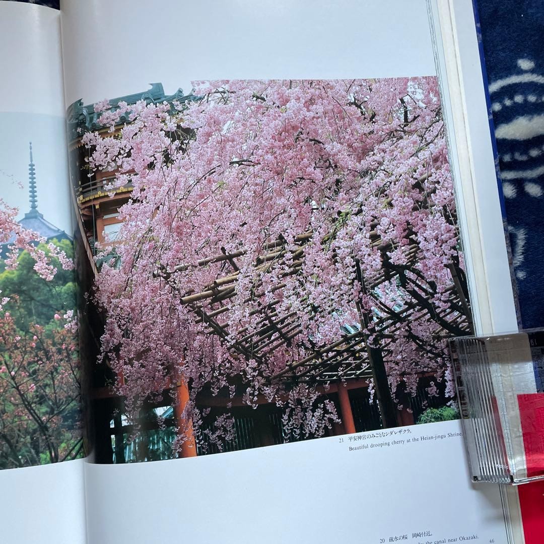 Japanese Cherry Blossoms Hardcover Book | Wide版 152 pages 7.4 x 10.3 in