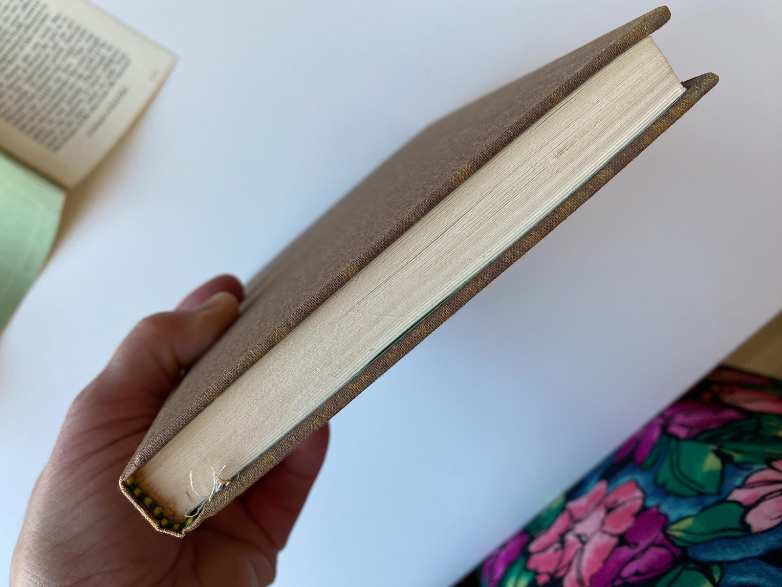 PORTENT~George MacDonald~MAURICE SENDAK~Inner Vision~HIGHLANDERS~Second Sight~