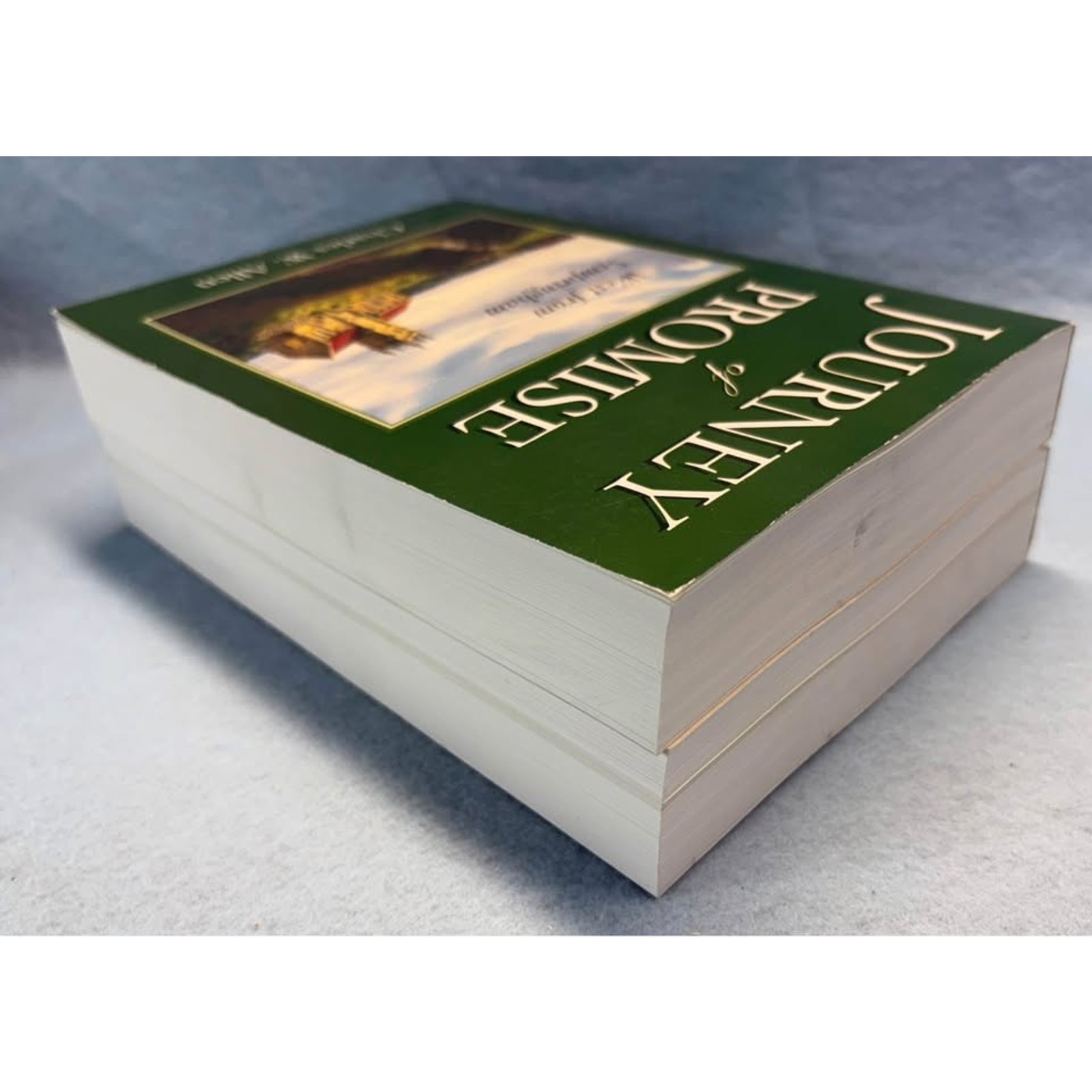 Journey of Promise West From Sempringham & Out of Captivity Charles W. Allen