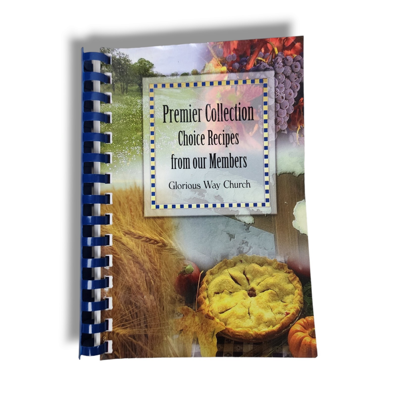 Houston Texas Cookbook Glorious Way Church Lone Star Recipes Baking Desserts VTG