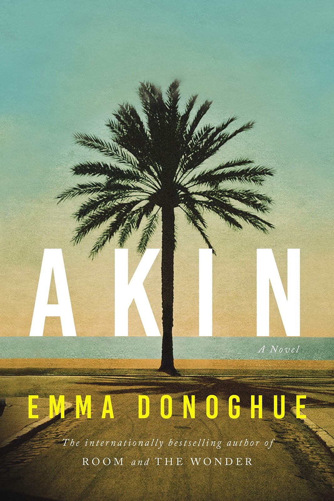 Akin: A Novel