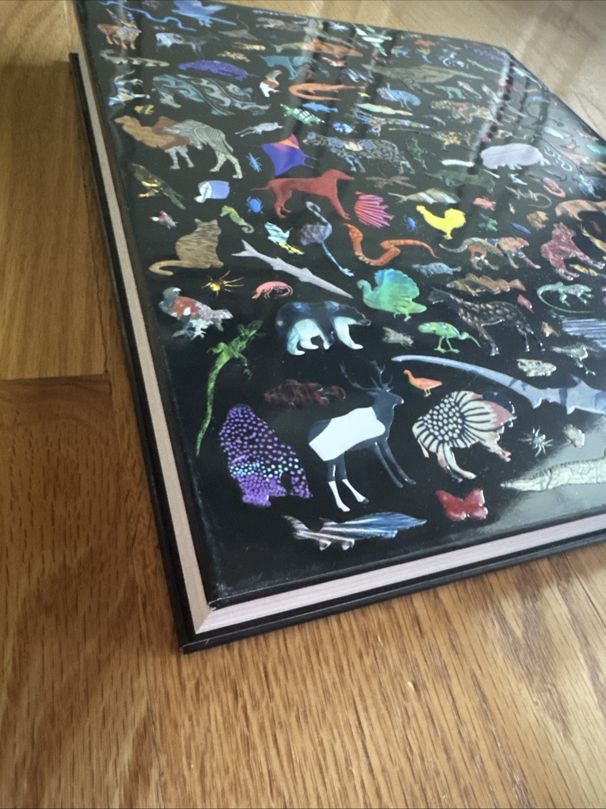 Animal : Exploring the Zoological World by Phaidon Editors (2018, Hardcover)
