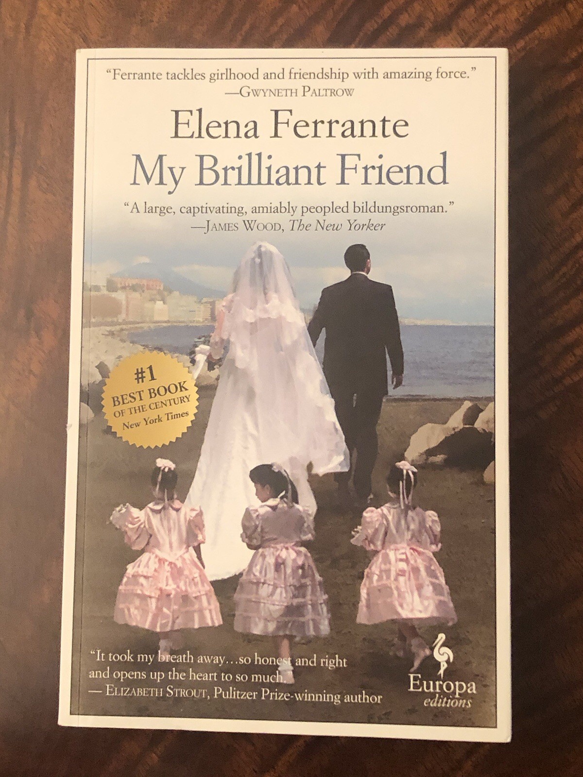 My Brilliant Friend by Elena Ferrante Paperback. Excellent Like New Condition