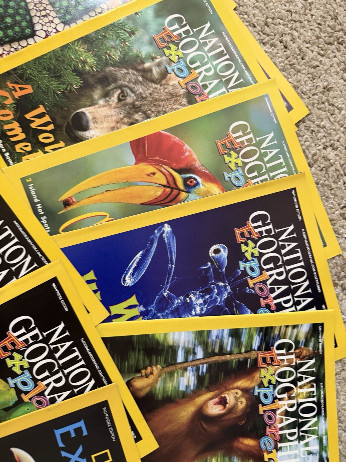 15 Vintage National Geographic Explorer Books Pathfinder Science 2006-2011 Mag