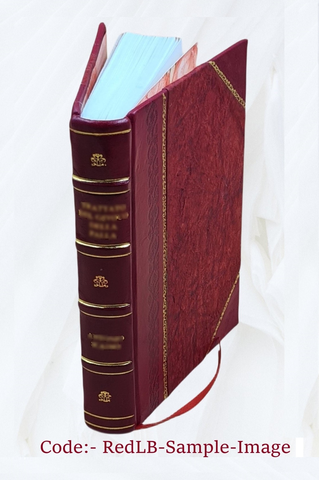 Modern Painting, Its Tendency And Meaning 1922 [Leather Bound]
