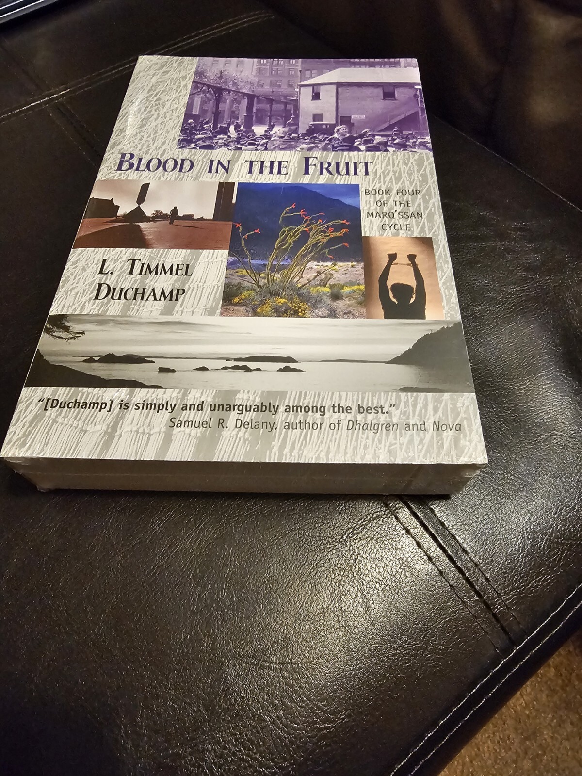 Blood In The Fruit By L. Timmel Duchamp Sealed