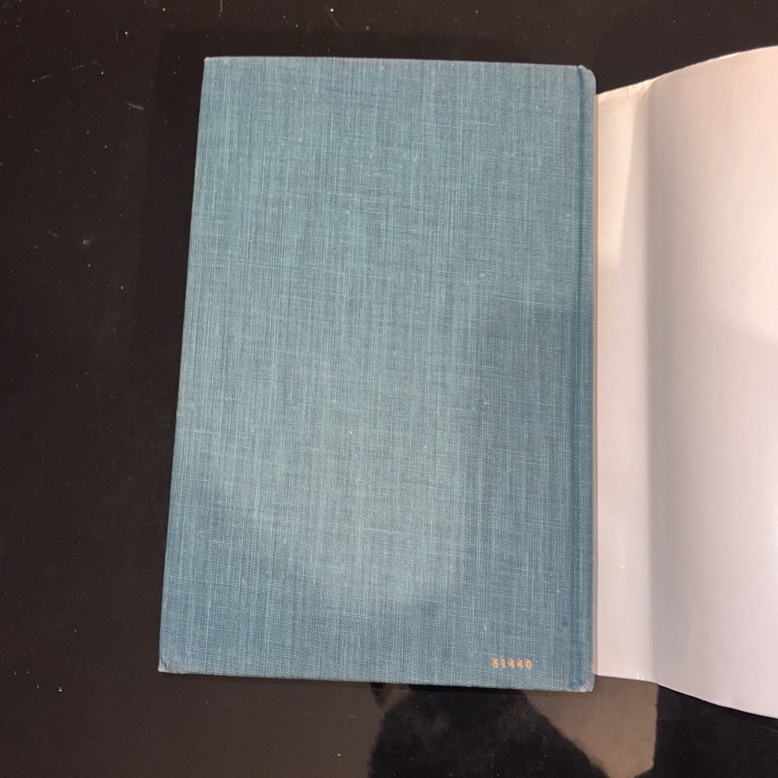 (First American Edition) 1976 HC Cesare Borgia, His Life and Times by Bradford..