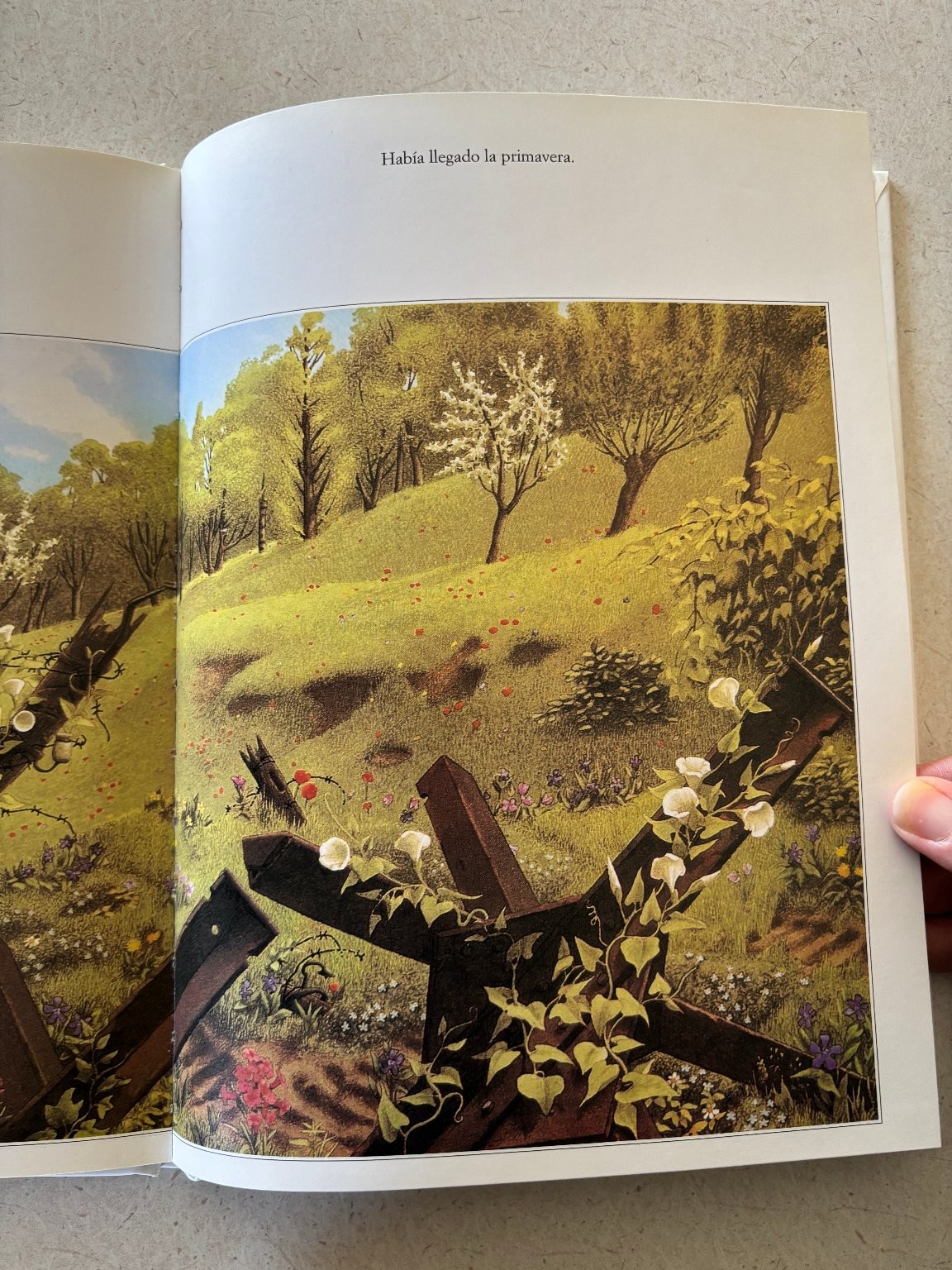 Rosa Blanca Roberto Innocenti 2002 Illustrated Children’s Picture Book Loguez