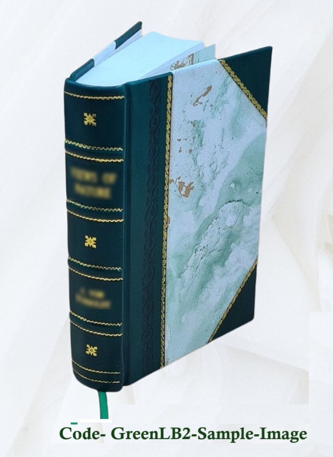 Leather Dressing, Including Dyeing, Staining And Finishing 1907 [Leather Bound]