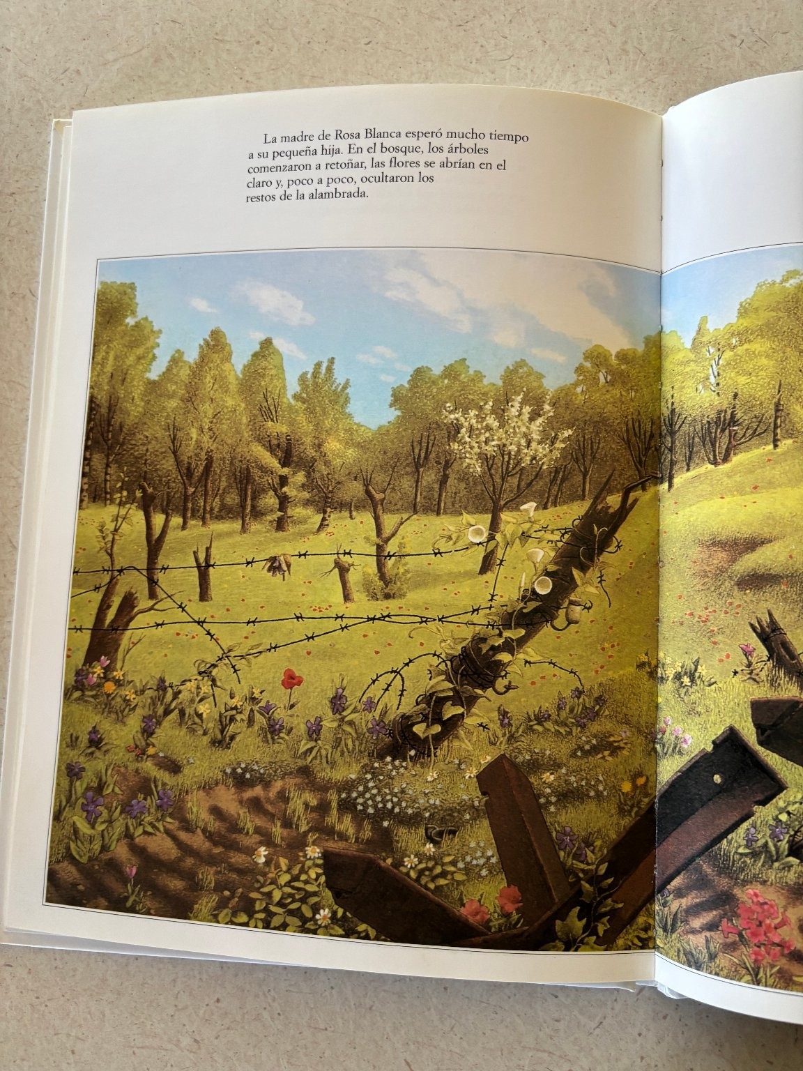 Rosa Blanca Roberto Innocenti 2002 Illustrated Children’s Picture Book Loguez