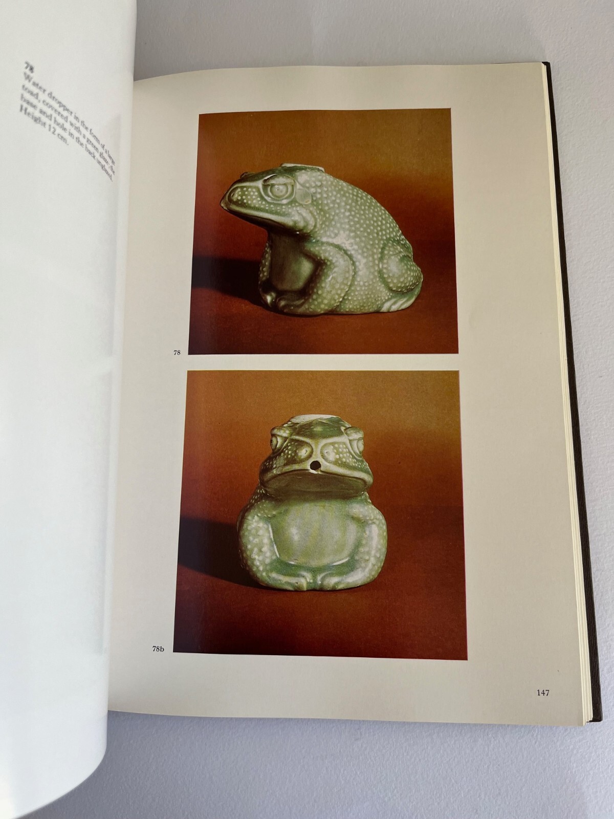 CHINESE and ANNAMESE CERAMICS found in the PHILIPPINES AND INDONESIA ~ art book