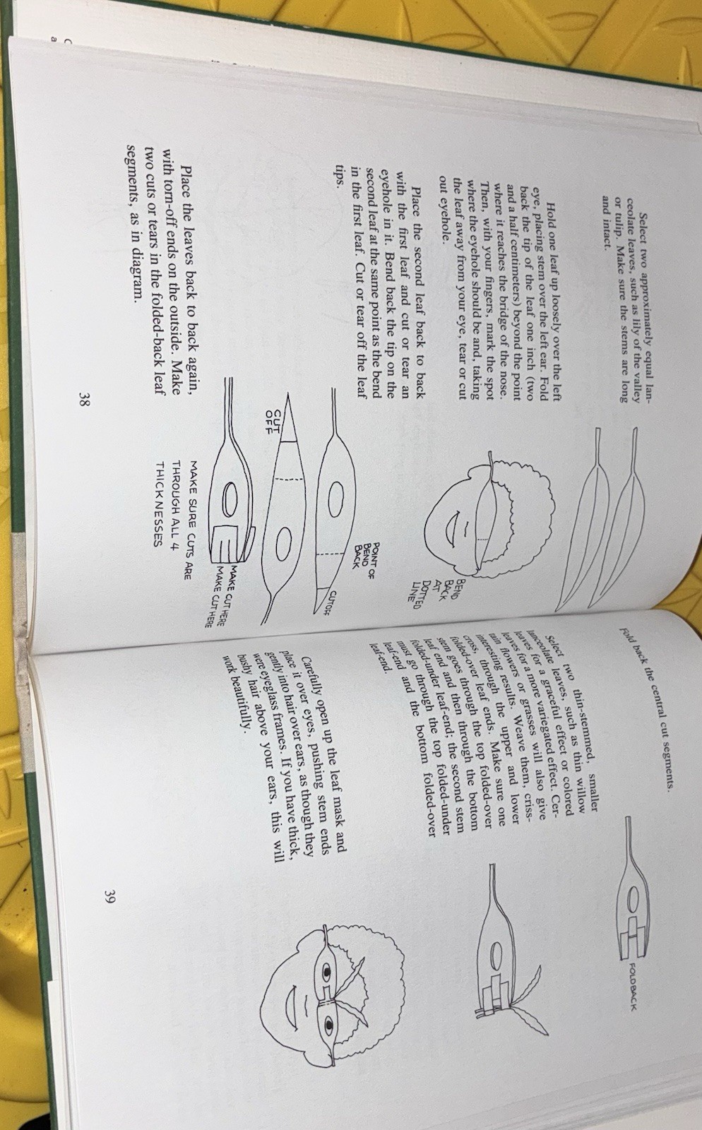 Children’s book Hidden Stories in Plants by Anne Pellowski, published in 1990